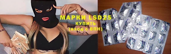 ПСИЛОЦИБИНОВЫЕ ГРИБЫ Алексеевка