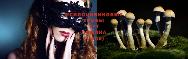 ПСИЛОЦИБИНОВЫЕ ГРИБЫ Алексеевка