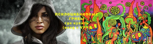 ПСИЛОЦИБИНОВЫЕ ГРИБЫ Алексеевка
